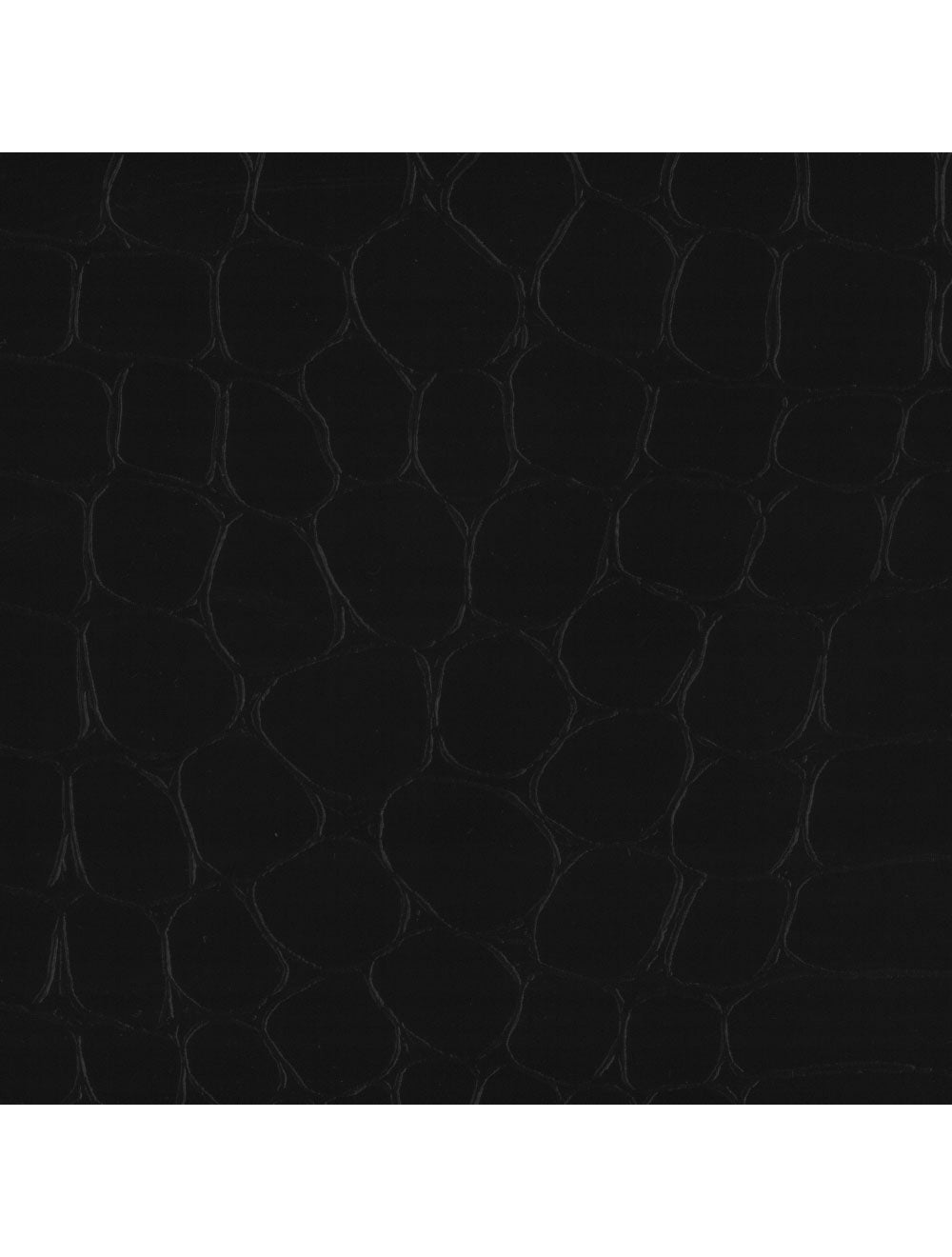 Swatch di materiale nero di Berlin Croco