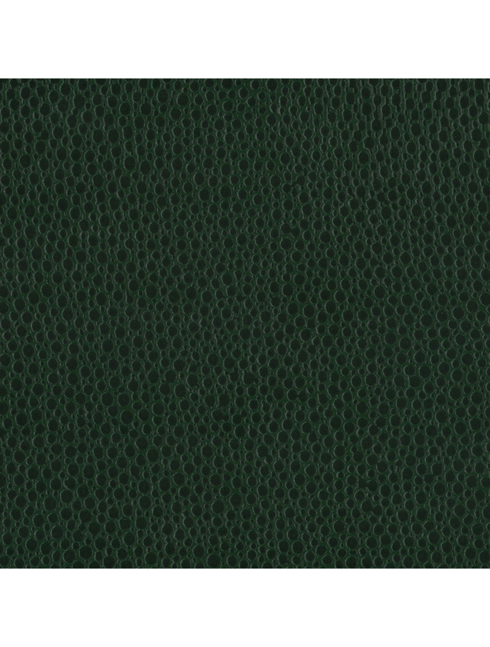 Swatch di materiale verde di Berlin Mallory (PEM9207)