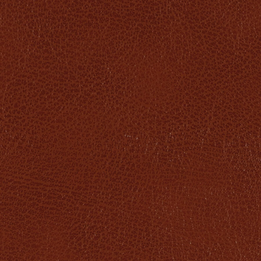 Campione materiale di Edimburgo Cuero