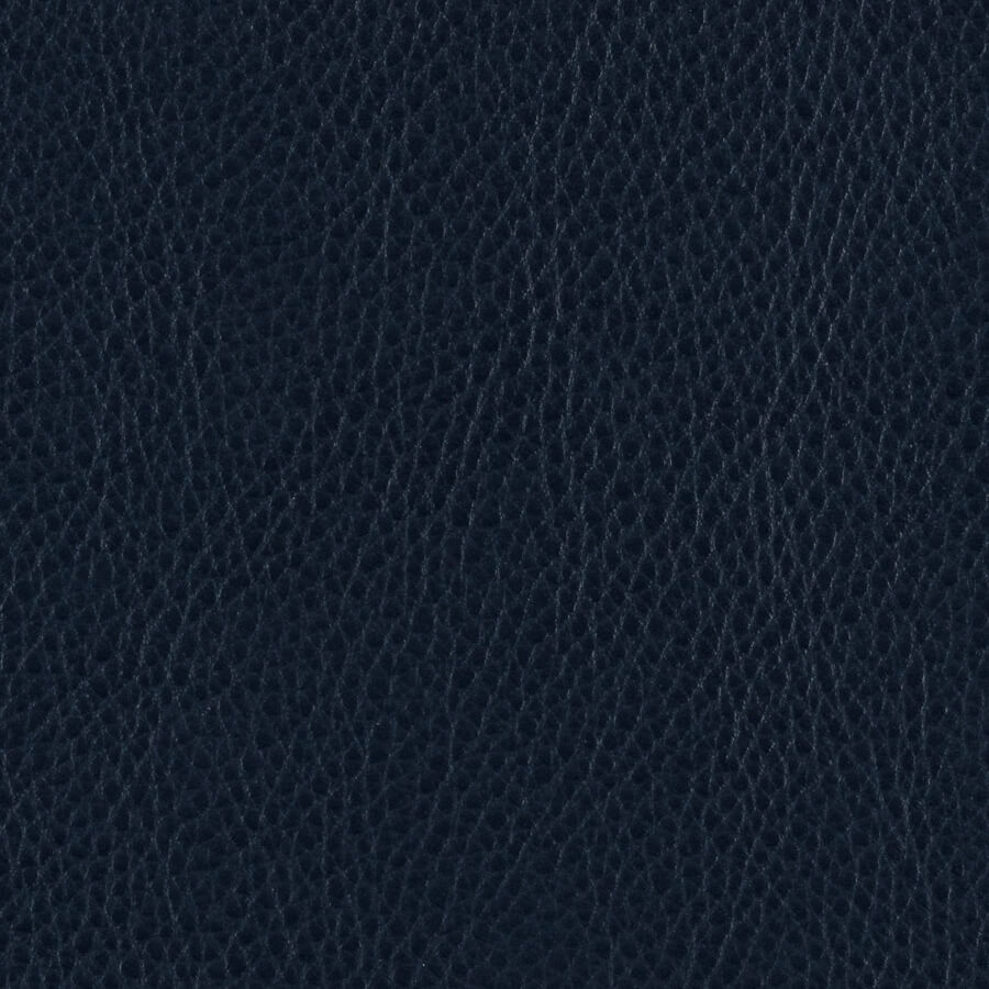 Campione di materiale marino Zurigo