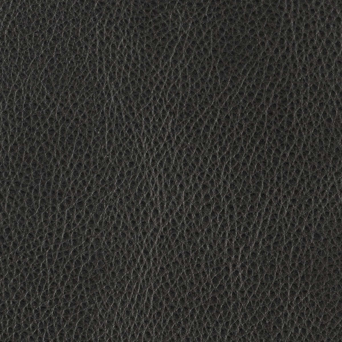 Campione di materiale nero di Zurigo