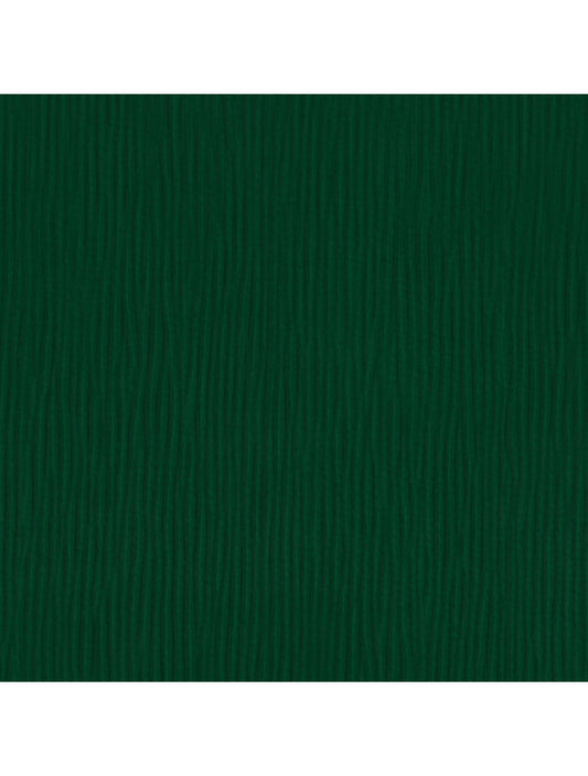 Campione materiale di cactus di Paris