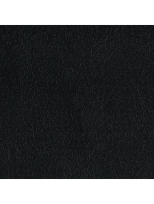 New Delhi Black Material Swatch