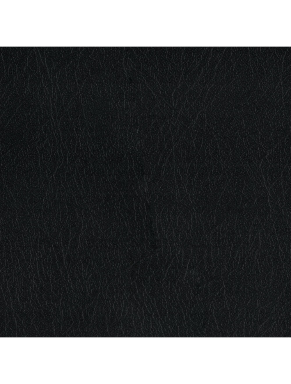 New Delhi Black Material Swatch