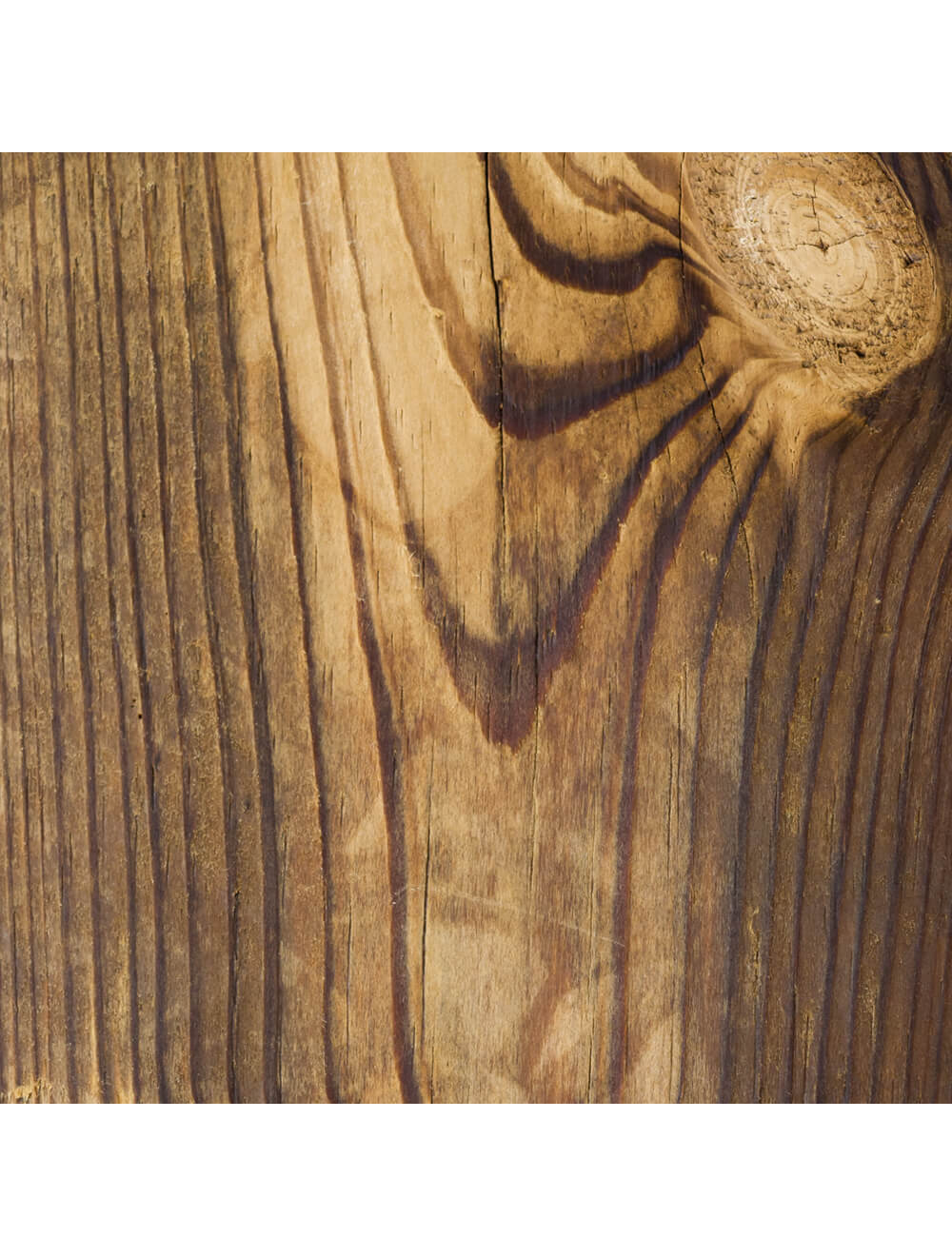 Swatch di materiale di quercia in legno