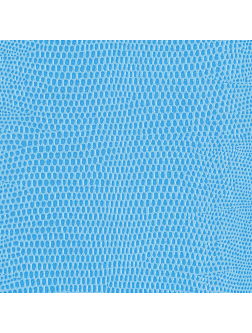Swatch di materiale blu in polvere di lucertola di lizza di Berlino