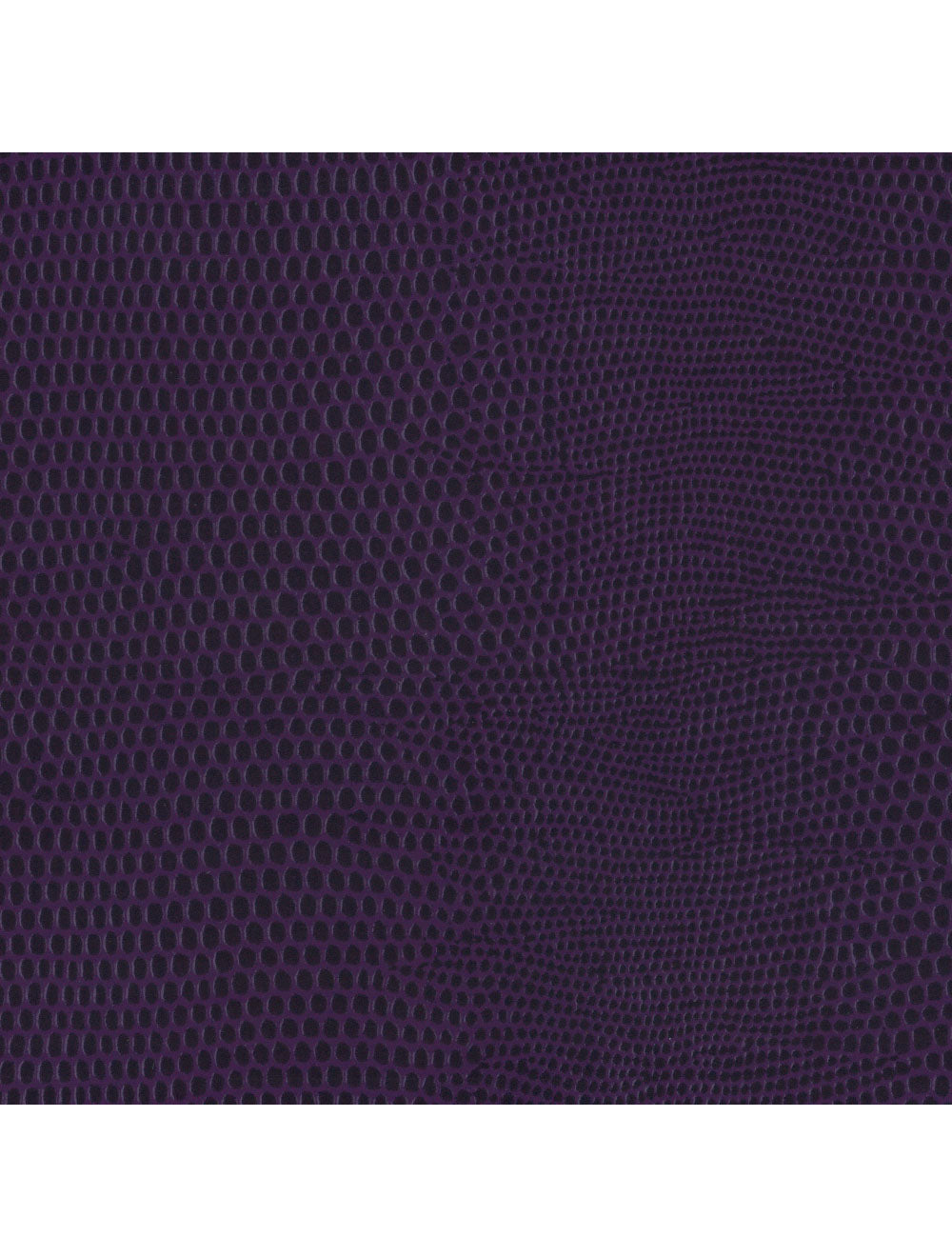 Swatch per materiale per dewberry di Berlino Lizard