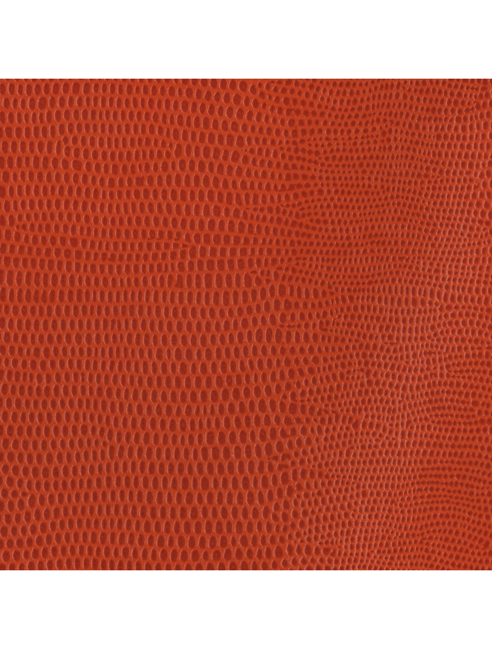 Swatch di materiale arancione Lizard Berlino