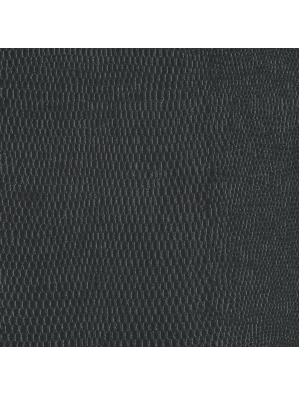 Swatch di materiale grigio scuro di lucertola di Berlino