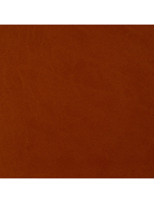 Swatch per materiale in terracotta Roma (4655)