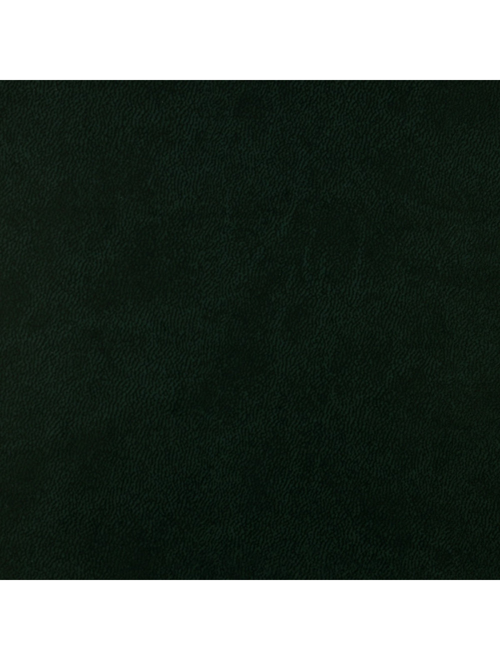 Swatch di materiale verde scuro di Roma (4727)