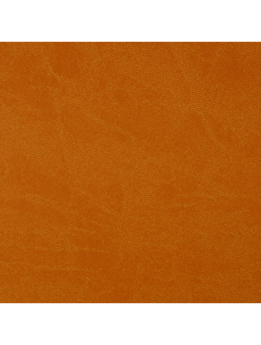 Swatch del materiale di biscotto Roma (4916)