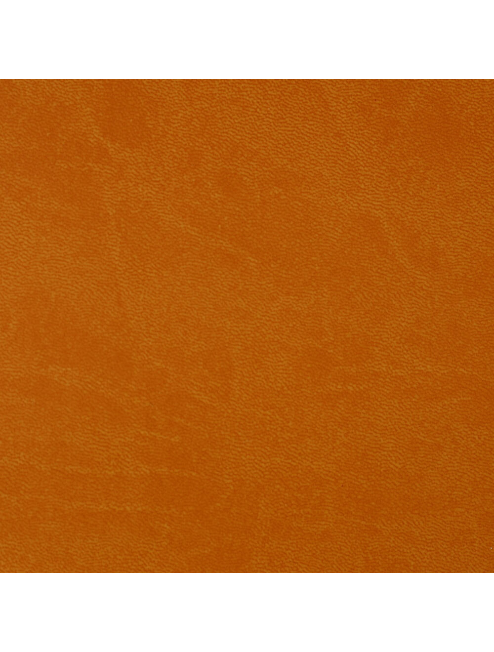 Swatch del materiale di biscotto Roma (4916)