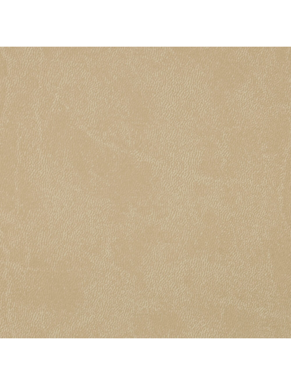 Swatch di materiale di sabbia di Roma (A788-3253)