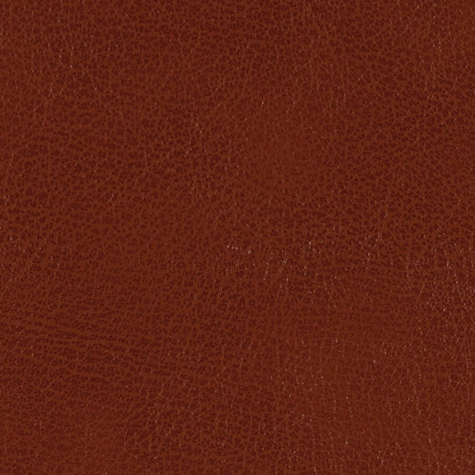 Campione materiale di Edimburgo Cuero