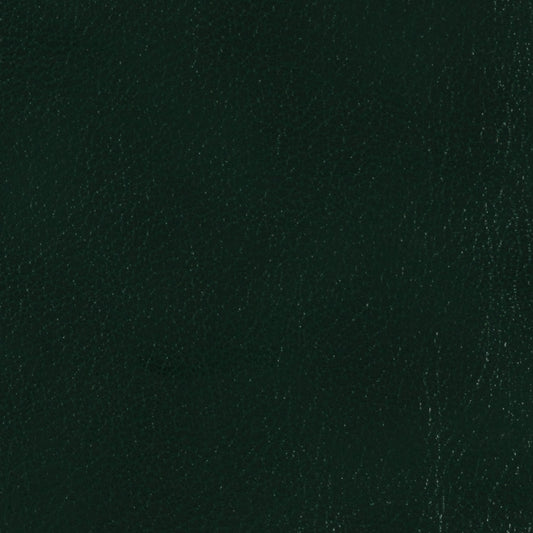 Campione di materiale di pino di Edimburgo