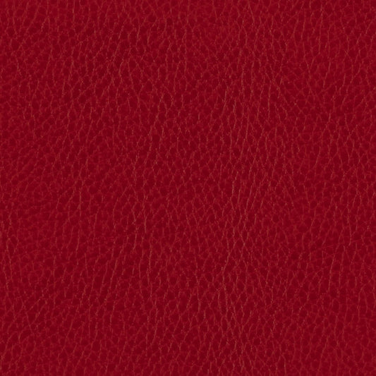 Campione di materiale rosso Zurigo