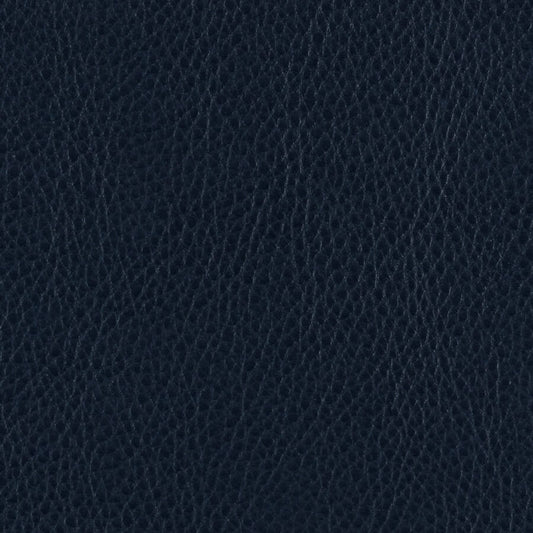 Campione di materiale marino Zurigo