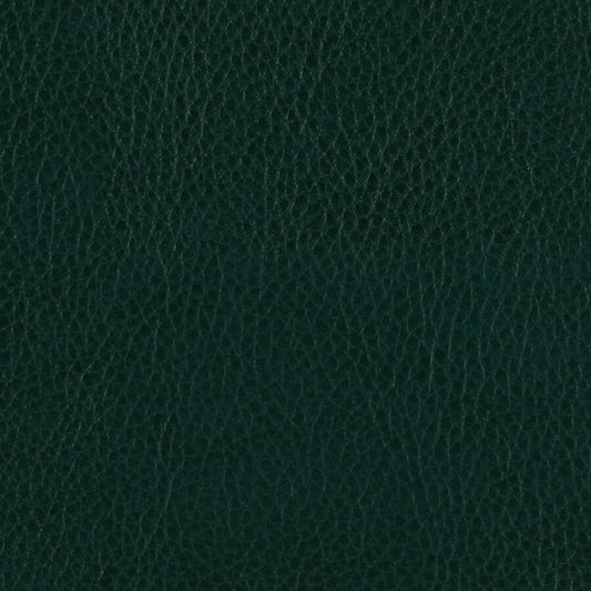 Campione di materiale verde zurigo
