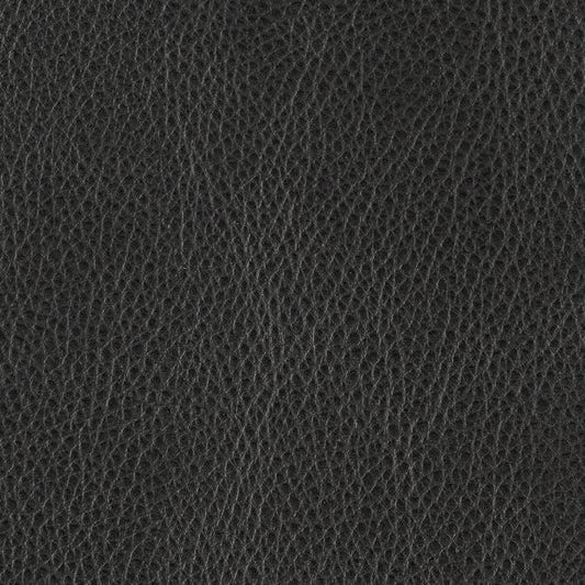 Campione di materiale nero di Zurigo